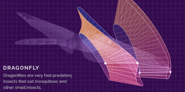 Animated Science Infographics