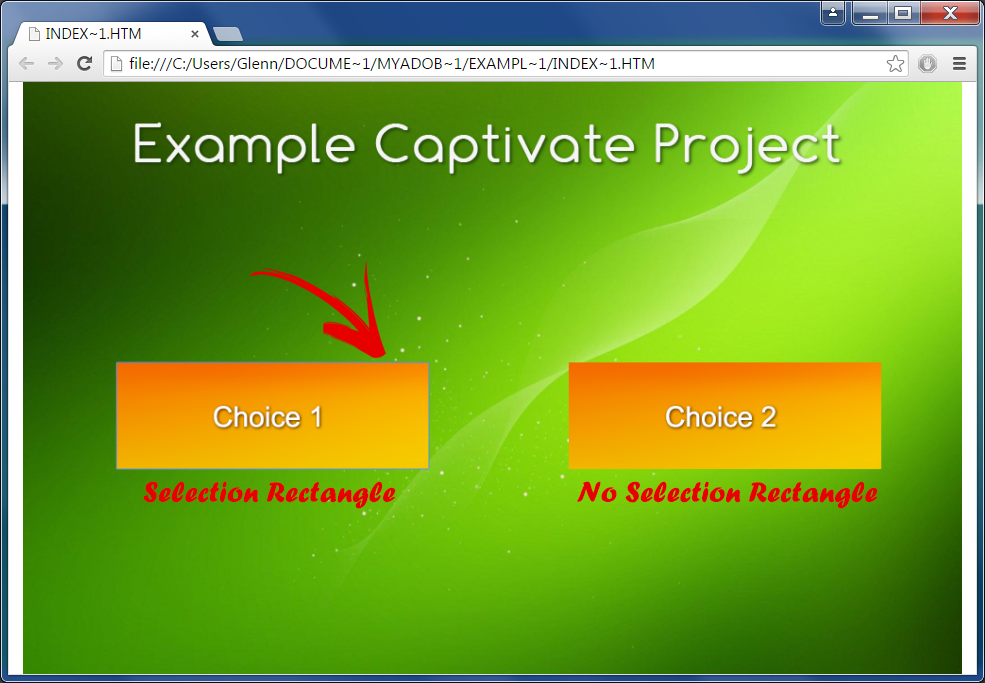 Remove selection rectangle in Captivate 8